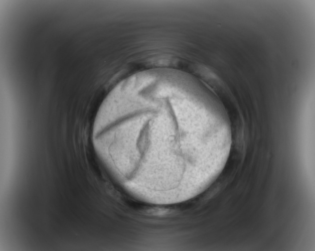 X0000086290326200704201928