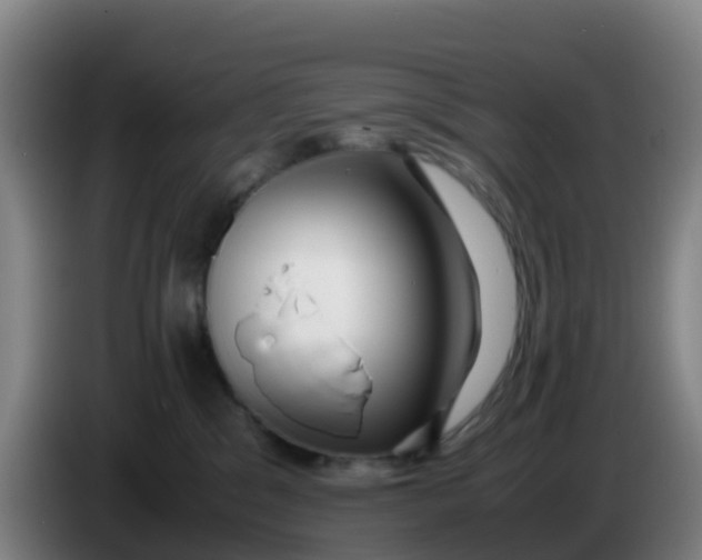 X0000086290329200704201928
