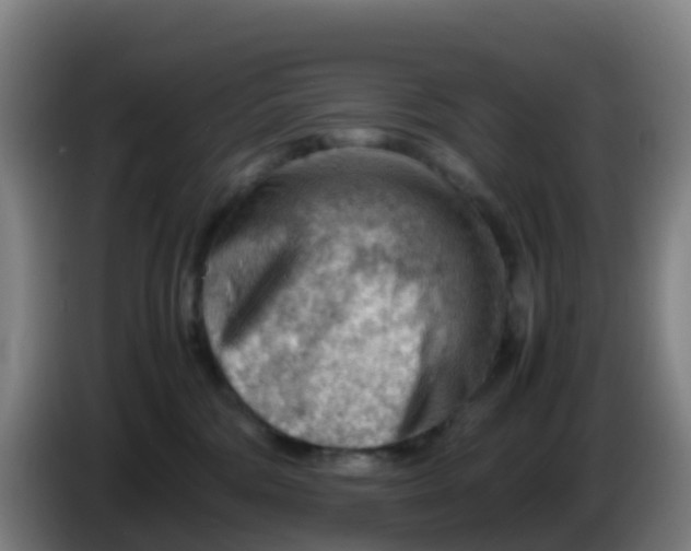 X0000086290330200704201928