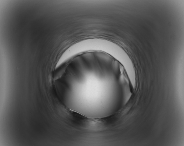 X0000086290333200704201928
