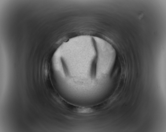 X0000086290334200704201928