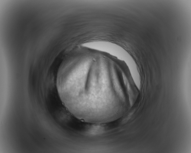 X0000086290335200704201928