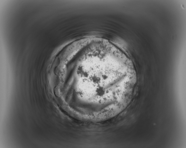 X0000086290337200704201927