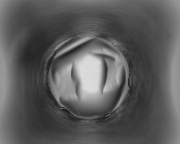 X0000086290338200704201927