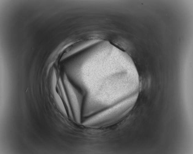 X0000086290339200704201927