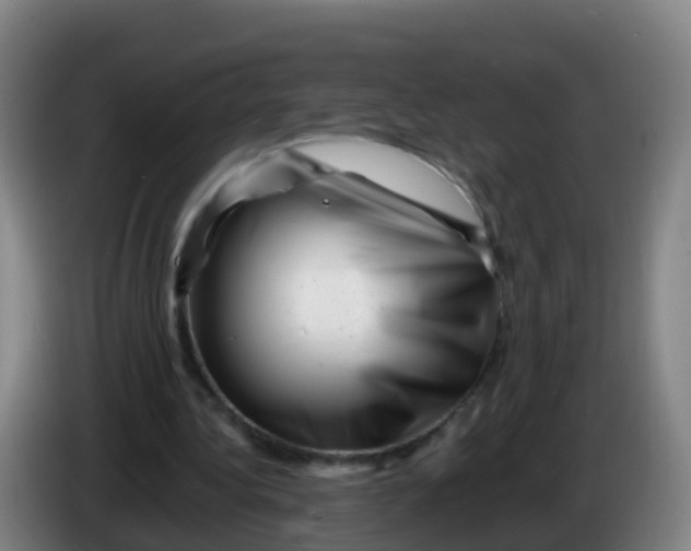 X0000086290340200704201927