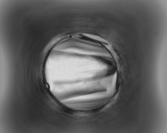 X0000086290341200704201927