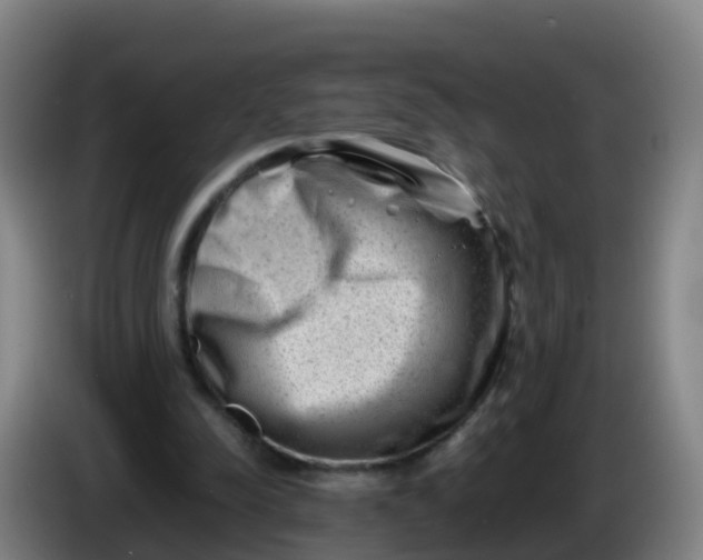 X0000086290342200704201927
