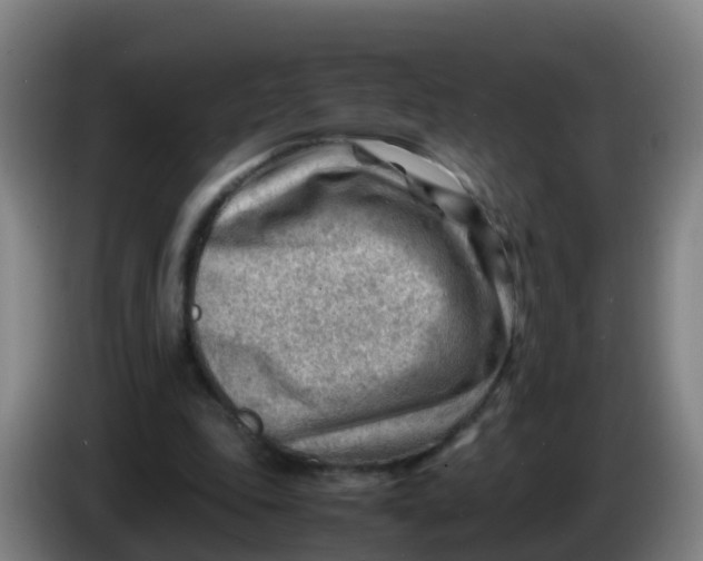 X0000086290343200704201927