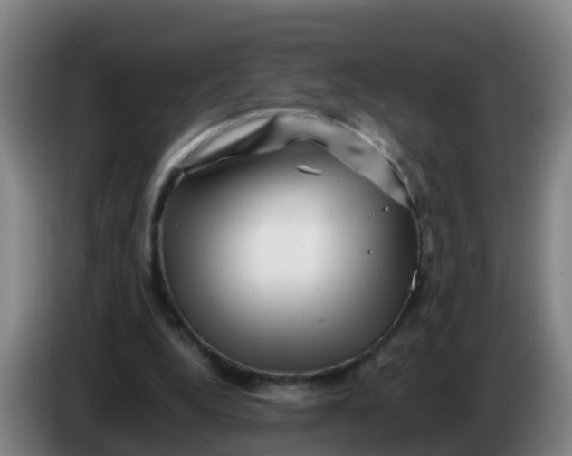 X0000086290344200704201927