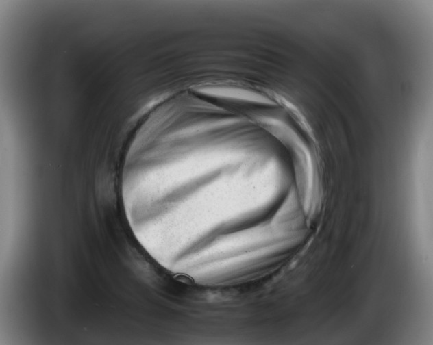 X0000086290345200704201927