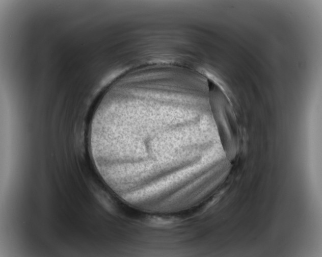X0000086290346200704201927