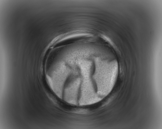 X0000086290348200704201927