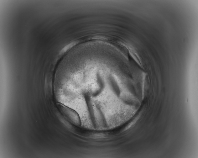 X0000086290349200704201927