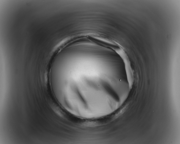 X0000086290350200704201927