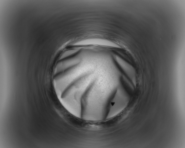 X0000086290352200704201927