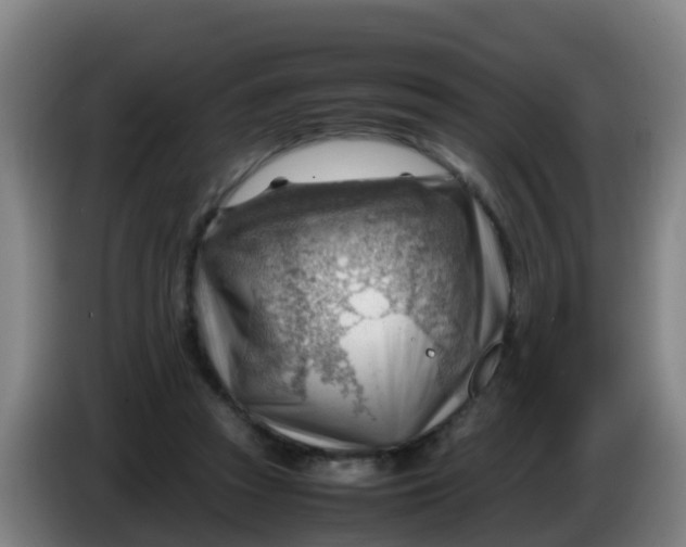 X0000086290353200704201927