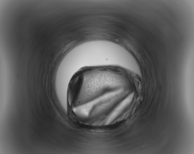 X0000086290356200704201927