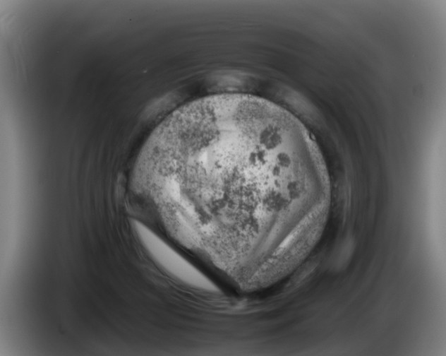 X0000086290361200704201927