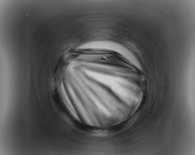 X0000086290362200704201927