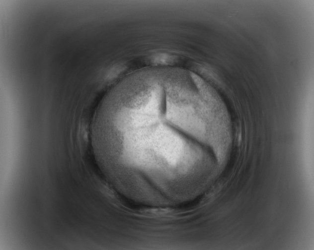 X0000086290363200704201927