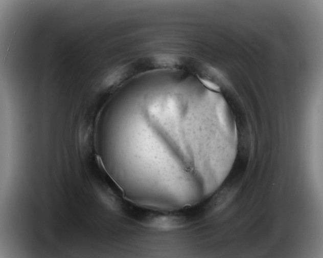 X0000086290364200704201927