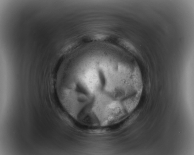 X0000086290366200704201927