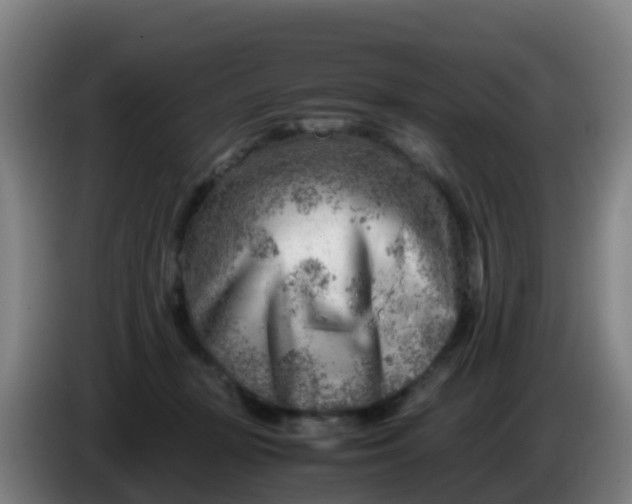 X0000086290367200704201927