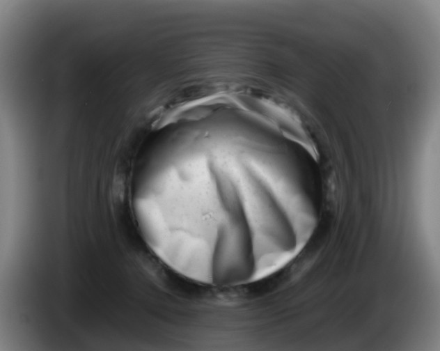 X0000086290368200704201927
