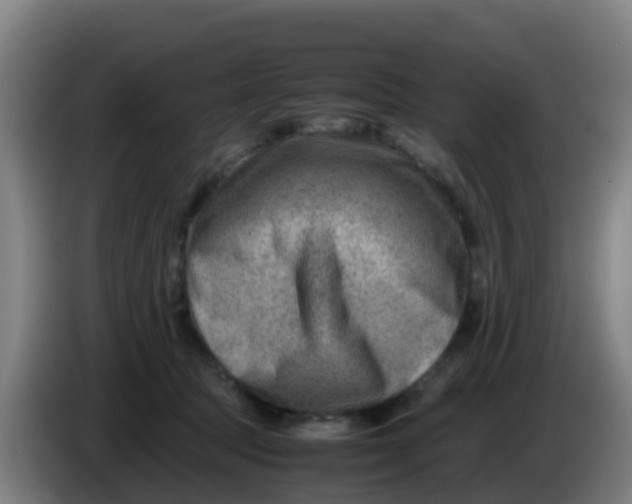 X0000086290369200704201927