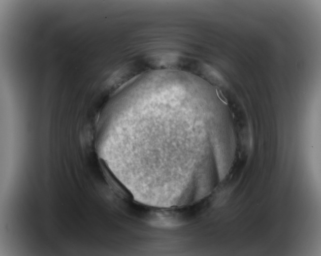 X0000086290372200704201927
