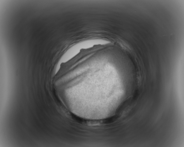 X0000086290373200704201927