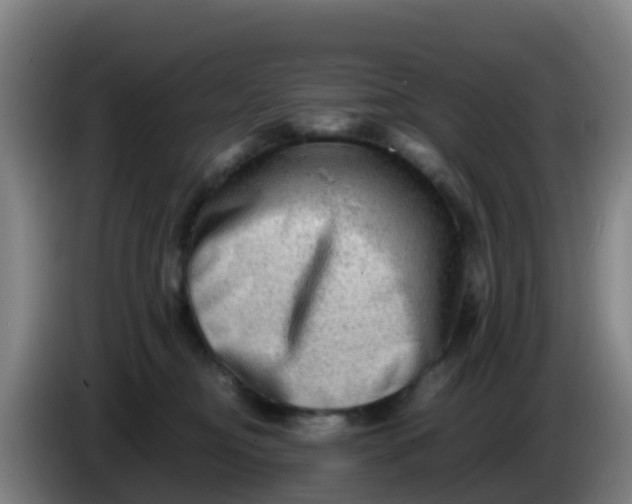 X0000086290374200704201928
