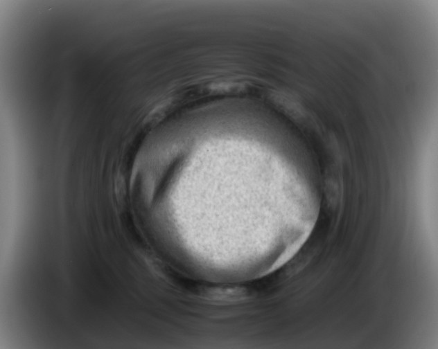 X0000086290375200704201928