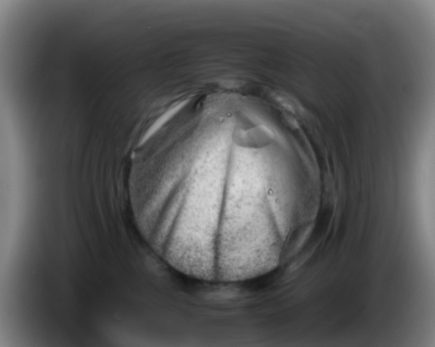 X0000086290377200704201928