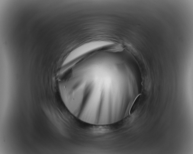 X0000086290378200704201928