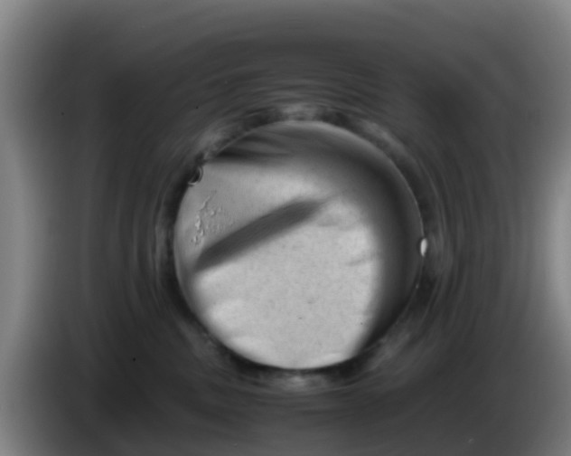 X0000086290379200704201928