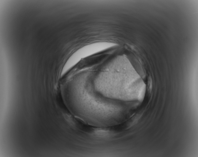 X0000086290380200704201928