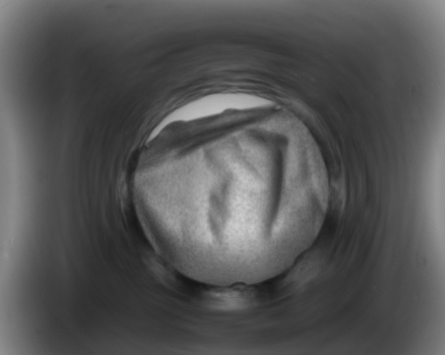 X0000086290381200704201928
