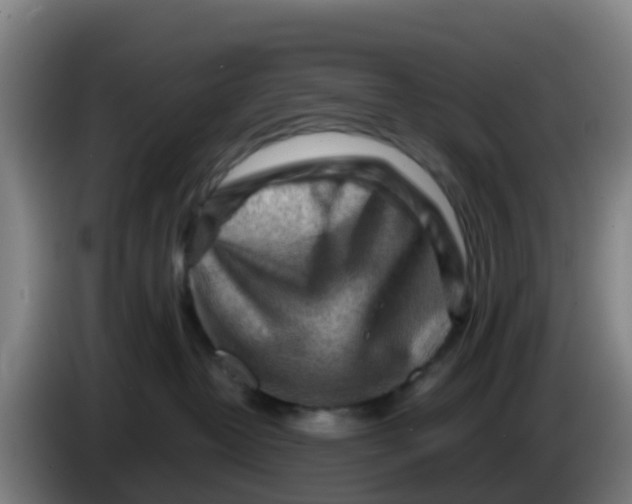 X0000086290382200704201928