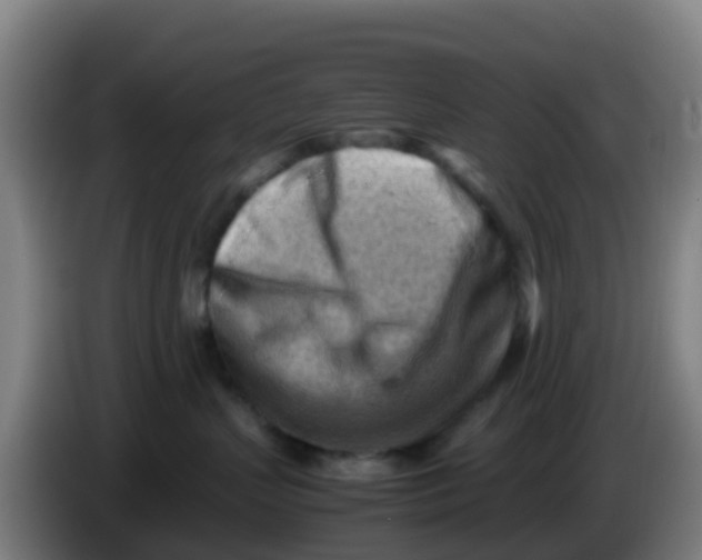 X0000086290383200704201928