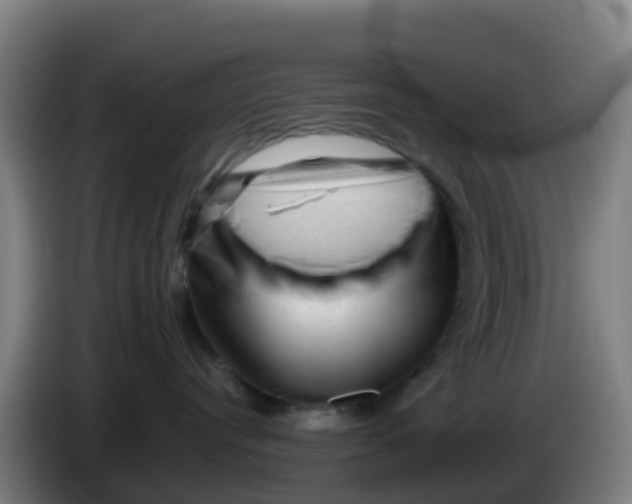 X0000086290384200704201928