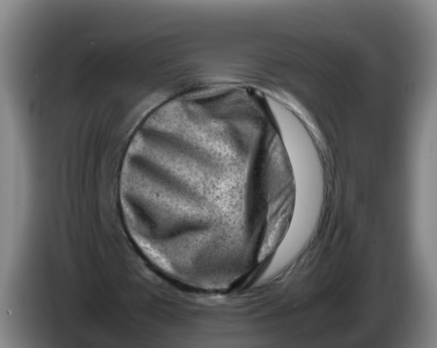 X0000086290385200704201927