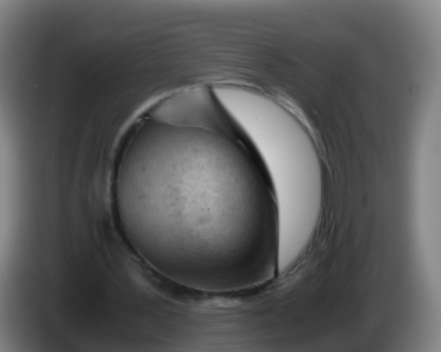 X0000086290387200704201927