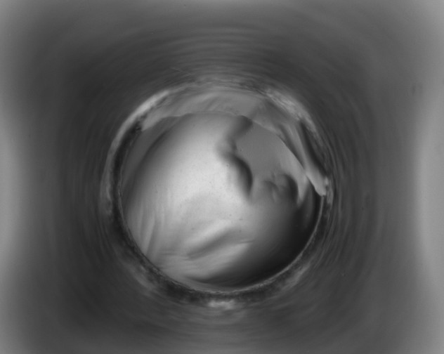 X0000086290388200704201927