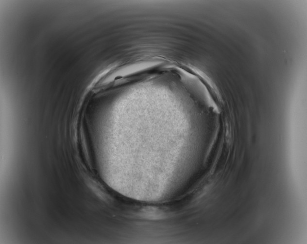 X0000086290390200704201927