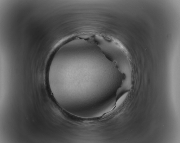X0000086290391200704201927