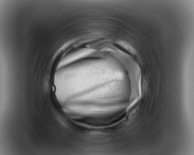 X0000086290392200704201927
