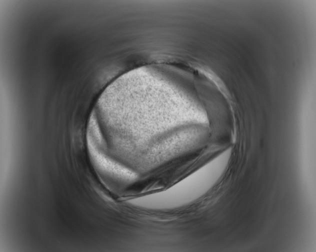 X0000086290393200704201927