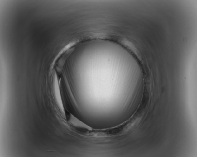 X0000086290395200704201927
